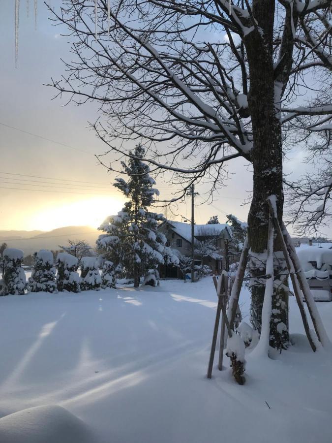 Hotel El Mayo Hakuba Luaran gambar